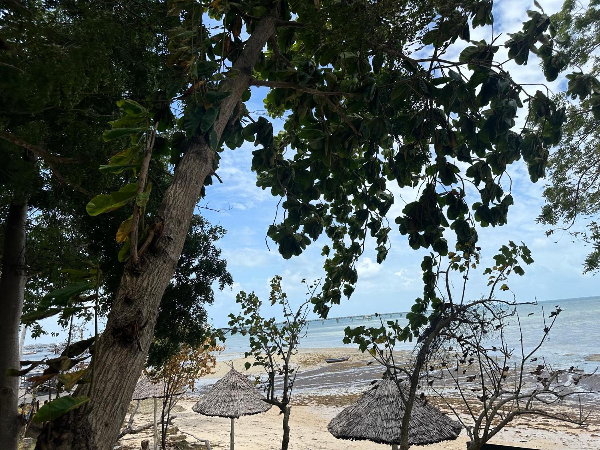 Maweni Beach Bungalows Kilindoni Exteriör bild